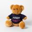 Spelthorne Gymnastics Bear in a T-Shirt (Brown)