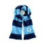 Spelthorne Sports FC Scarf (Navy/Sky Blue)