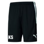 FPF Academy Puma Training Shorts - junior - 5-6-years