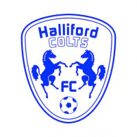 Halliford Colts FC badge