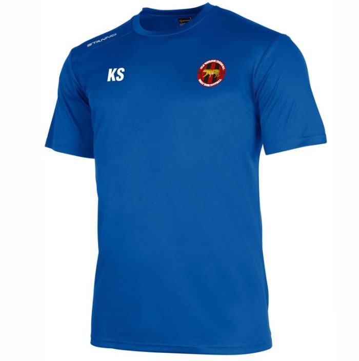 Old Windsor Tigers Stanno Short Sleeve Training Shirt (Royal)