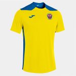 Staines and Laleham FC Home Shirt Short Sleeved - 6xs-5xs - junior