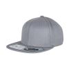 110 fitted snapback (110) Grey