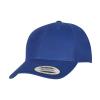 Premium curved visor snapback cap (6789M) Royal