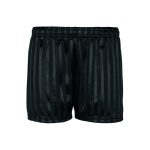 Darley Dene Primary School Black Shadow Stripe Junior PE Shorts - 2-4-years - black