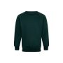KS PE Collection Premium Junior Crew Neck Sweatshirt *MORE COLOURS AVAILABLE* - bottle-green - 2-3-years