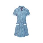 St Nicholas Primary School Blue Striped Summer Dress - blue - 3-4-years