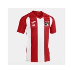 Brentford Penguins FC Joma Pisa Short Sleeved Shirt - junior - 6xs-5xs